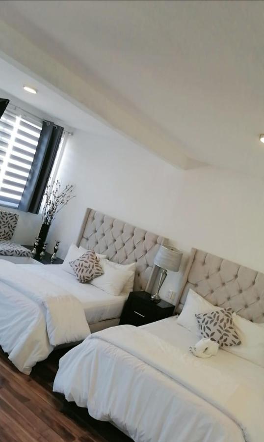 M Hoteles Concepto Morelia Ngoại thất bức ảnh